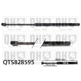 Vérin de hayon, de coffre QUINTON HAZELL QTS828595 pour MITSUBISHI CARISMA 2.0 D5 AWD - 235cv Vérin de hayon, de coffre QUINTON HAZELL QTS828595 pour MITSUBISHI CARISMA 2.0 D5 AWD - 235cv