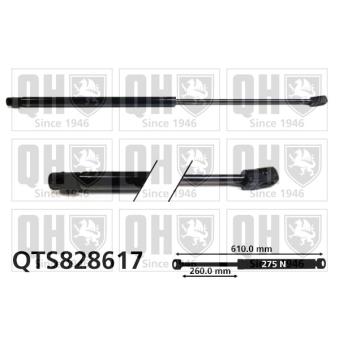 Vérin de hayon, de coffre QUINTON HAZELL QTS828617 pour OPEL CORSA 1.4 - 75cv