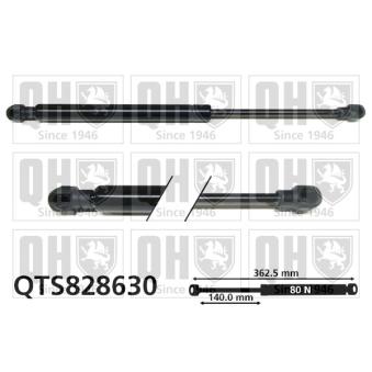 Vérin de hayon, de coffre QUINTON HAZELL QTS828630 pour VOLKSWAGEN PASSAT 2.0 TDI - 190cv