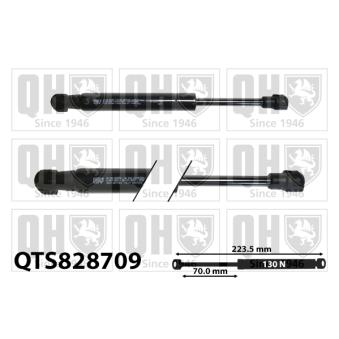 Vérin, étagère (coffre) QUINTON HAZELL QTS828709 pour BMW Série 5 525 xi - 218ch Vérin, étagère (coffre) QUINTON HAZELL QTS828709 pour BMW Série 5 525 xi - 218ch