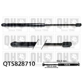 Vérin, capote QUINTON HAZELL QTS828710 Vérin, capote QUINTON HAZELL QTS828710