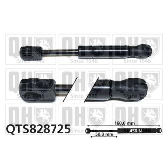 Vérin de hayon, de coffre QUINTON HAZELL [QTS828725]