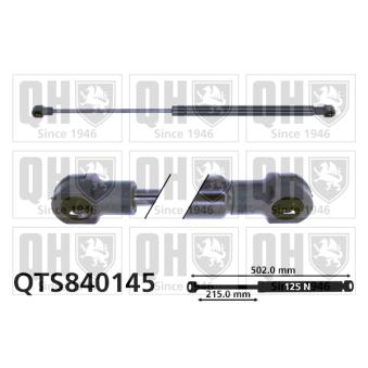 Vérin, vitre arrière QUINTON HAZELL QTS840145 pour RENAULT LAGUNA 2.0 16V - 140cv