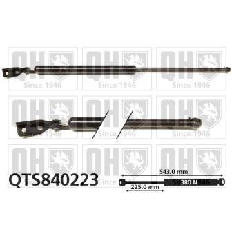 Vérin de hayon, de coffre QUINTON HAZELL [QTS840223]