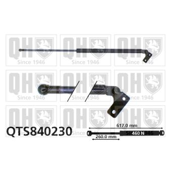 Vérin de hayon, de coffre QUINTON HAZELL QTS840230 pour MAZDA 626 2.0 D - 60cv