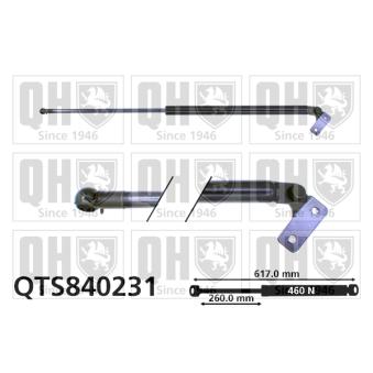 Vérin de hayon, de coffre QUINTON HAZELL QTS840231 pour MAZDA 626 2.0 D - 60cv