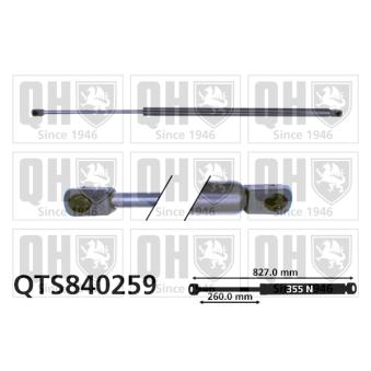Vérin de hayon, de coffre QUINTON HAZELL QTS840259 pour OPEL TIGRA 1.6 16V - 106cv