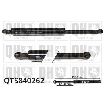 Vérin de hayon, de coffre QUINTON HAZELL OEM 4699260