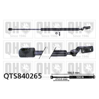 Vérin de hayon, de coffre QUINTON HAZELL QTS840265