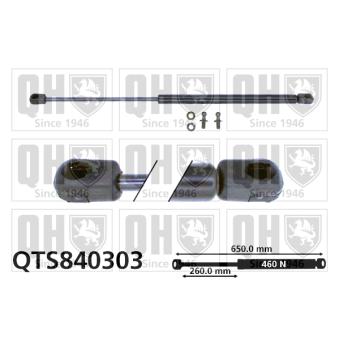 Vérin de hayon, de coffre QUINTON HAZELL QTS840303 pour MITSUBISHI GALANT 2.0 GTI 16V - 144cv