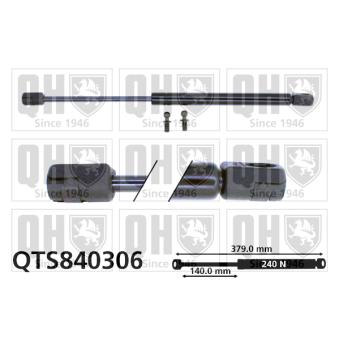 Vérin de hayon, de coffre QUINTON HAZELL OEM 176600