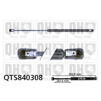 Vérin de hayon, de coffre QUINTON HAZELL [QTS840308]