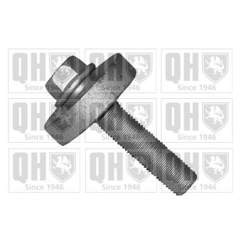 Boulon de poulie QUINTON HAZELL QTT1166B pour RENAULT CLIO 1,5 Blue dCi 100 - 101cv