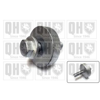 Boulon de poulie QUINTON HAZELL [QTT1193B]