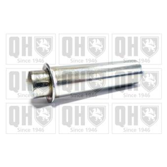 Amortisseur de vibrations, courroie de distribution QUINTON HAZELL OEM 4400200