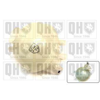 Vase d'expansion, liquide de refroidissement QUINTON HAZELL OEM 132377