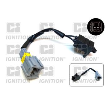 Commande, embrayage (régulateur de vitesse) QUINTON HAZELL [XBLS243]