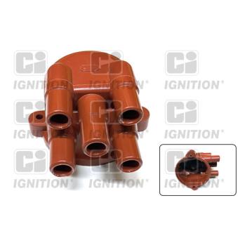 Tête d'allumeur QUINTON HAZELL XD249 Tête d'allumeur QUINTON HAZELL XD249