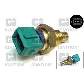 Sonde de température, liquide de refroidissement QUINTON HAZELL [XEMS43]