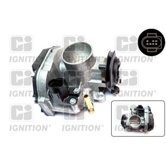 Corps papillon QUINTON HAZELL [XPOT443]