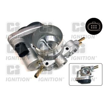 Corps papillon QUINTON HAZELL [XPOT452]