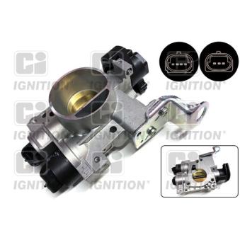 Corps papillon QUINTON HAZELL [XPOT473]