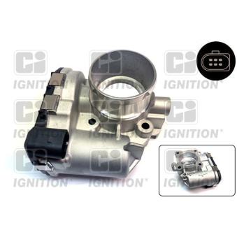 Corps papillon QUINTON HAZELL [XPOT631]