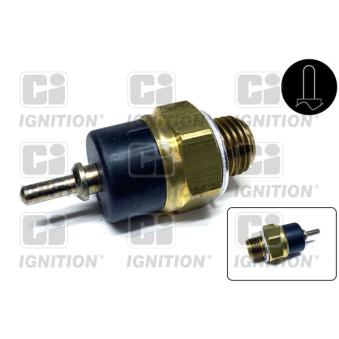 Contact thermique, voyant avertisseur de l'agent réfrigérant QUINTON HAZELL [XTS31]