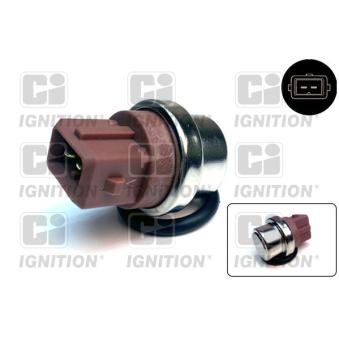 Contact thermique, voyant avertisseur de l'agent réfrigérant QUINTON HAZELL OEM 191919369B