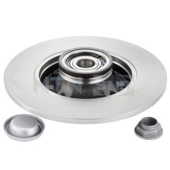 Jeu de 2 disques de frein arrière SNR OEM 4246Z9