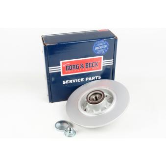 Jeu de 2 disques de frein arrière BORG & BECK OEM 432009292R
