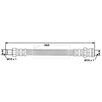 Flexible de frein BORG & BECK OEM 311611701B