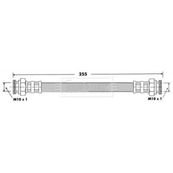 Flexible de frein BORG & BECK OEM 115595621
