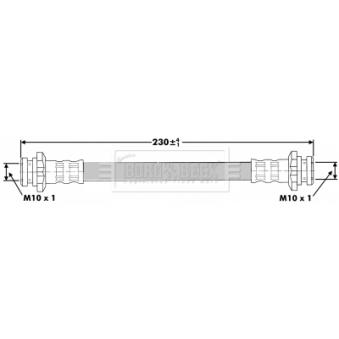 Flexible de frein BORG & BECK OEM 462145F000