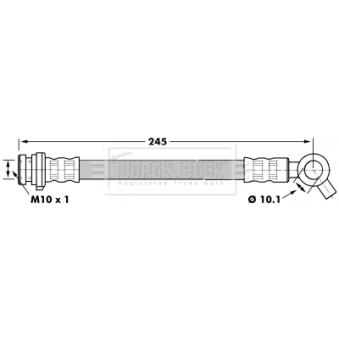 Flexible de frein BORG & BECK OEM 46204C6000