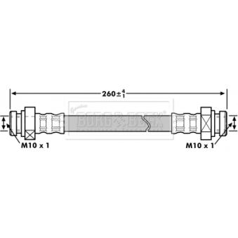 Flexible de frein BORG & BECK OEM 51560M72F10