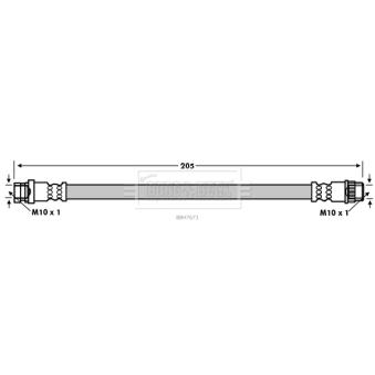 Flexible de frein BORG & BECK OEM 462104088R