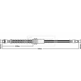 Flexible de frein BORG & BECK BBH8449