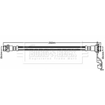 Flexible de frein BORG & BECK OEM 5873707000