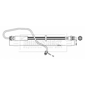 Flexible de frein BORG & BECK [BBH8716]