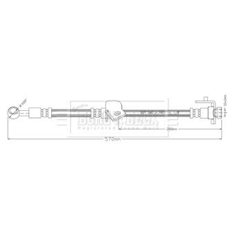 Flexible de frein BORG & BECK [BBH8901]