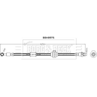 Flexible de frein BORG & BECK BBH8975