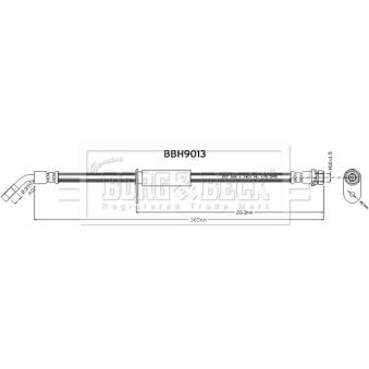 Flexible de frein BORG & BECK [BBH9013]