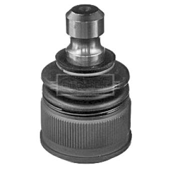 Rotule de suspension BORG & BECK OEM G03034550A