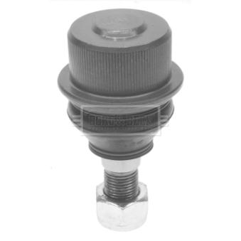 Rotule de suspension BORG & BECK OEM 500379801