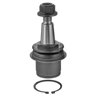 Rotule de suspension BORG & BECK OEM RBK500040