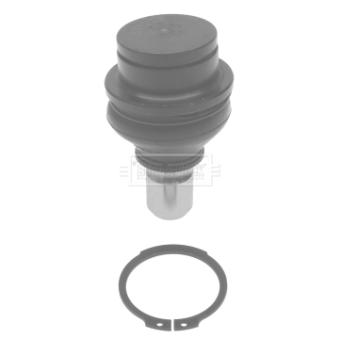 Rotule de suspension BORG & BECK OEM 55501EB300