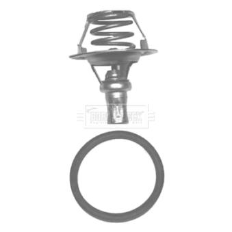 Thermostat d'eau BORG & BECK BBT038