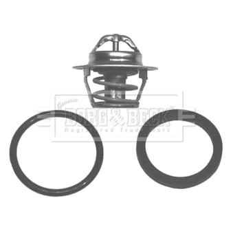 Thermostat d'eau BORG & BECK BBT040