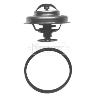 Thermostat d'eau BORG & BECK BBT046